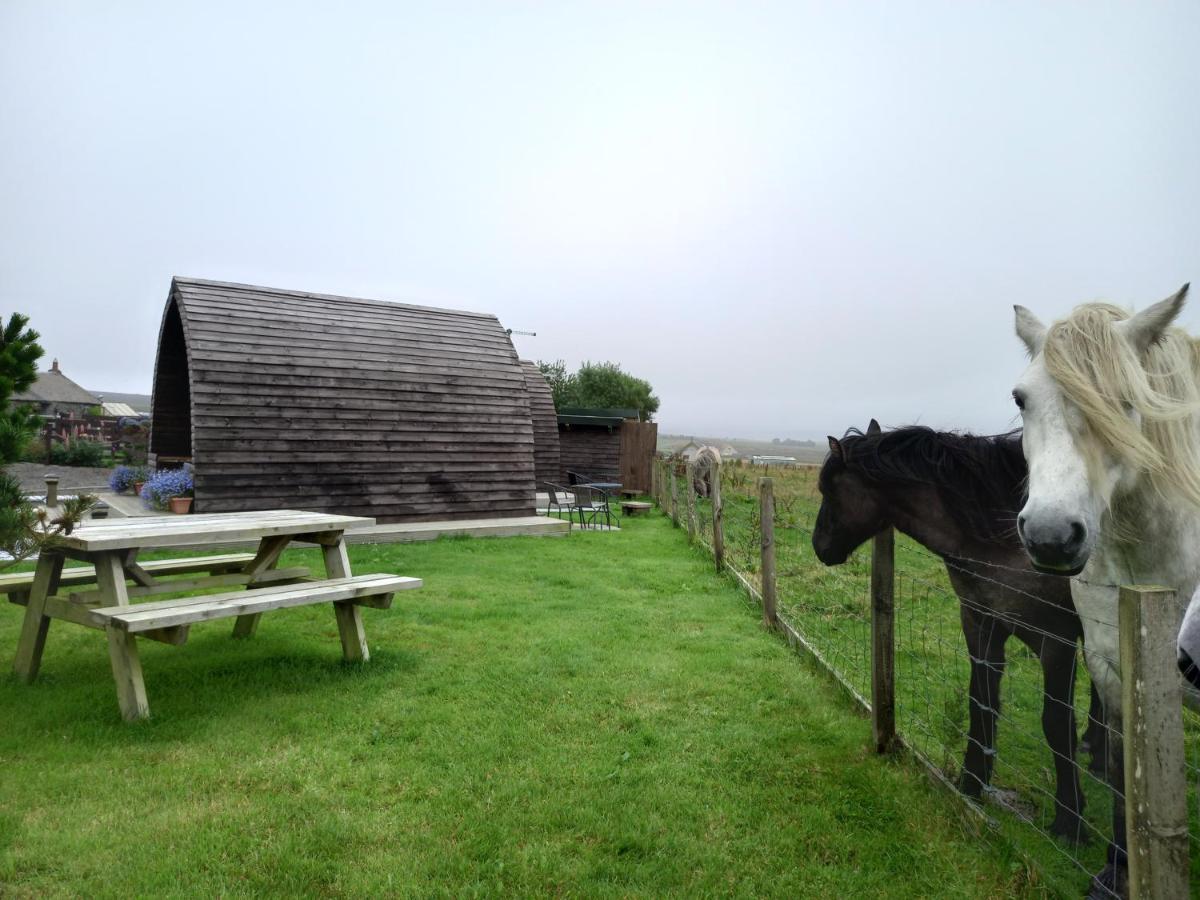 Hillside Camping Pods And Shepherd'S Hut Wick  Exterior foto